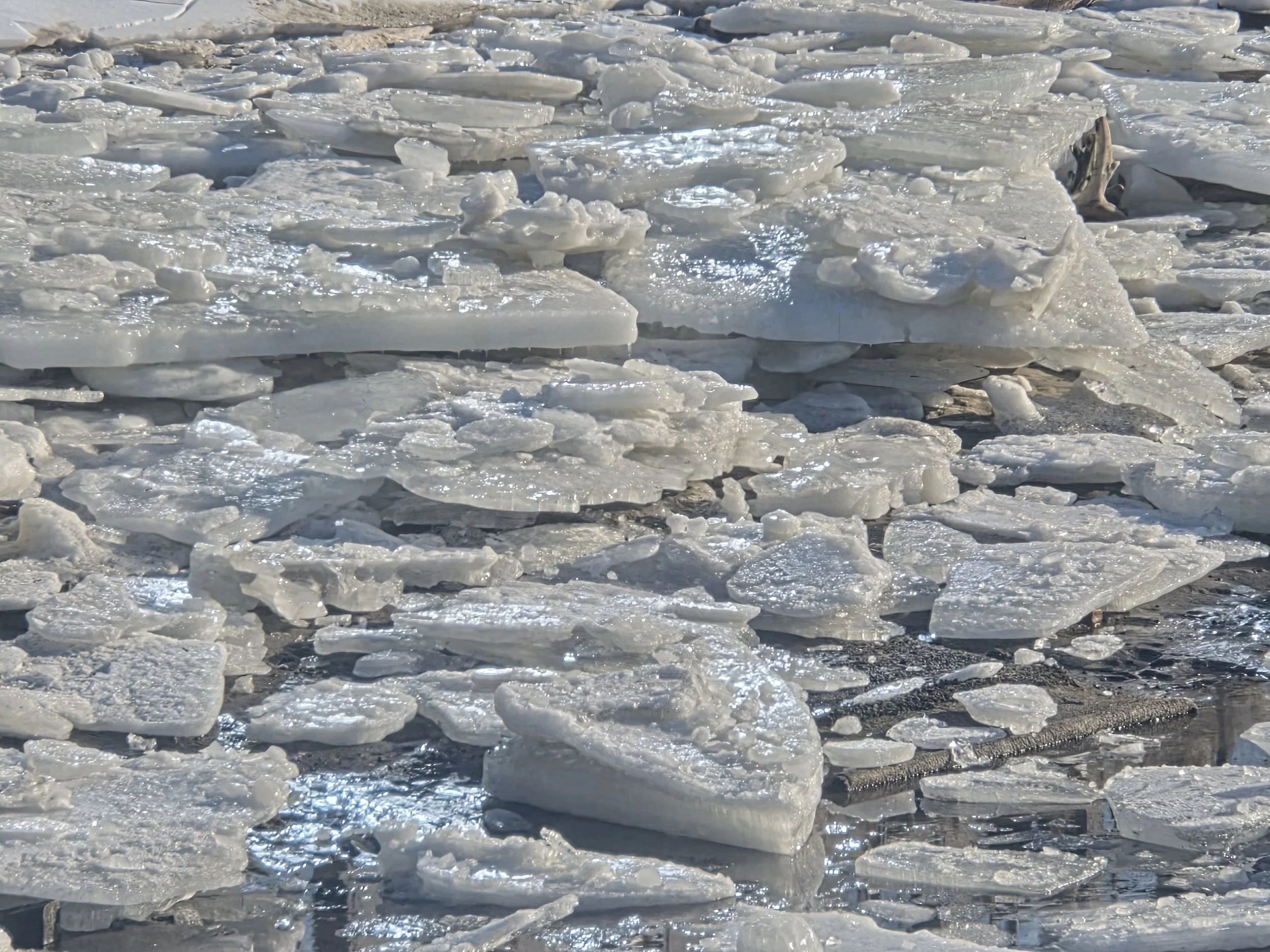 Ice formations on a frozen surface